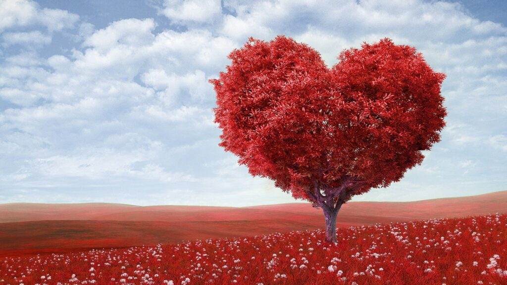 Eng med røde blomster og et rødt hjerteformet tre