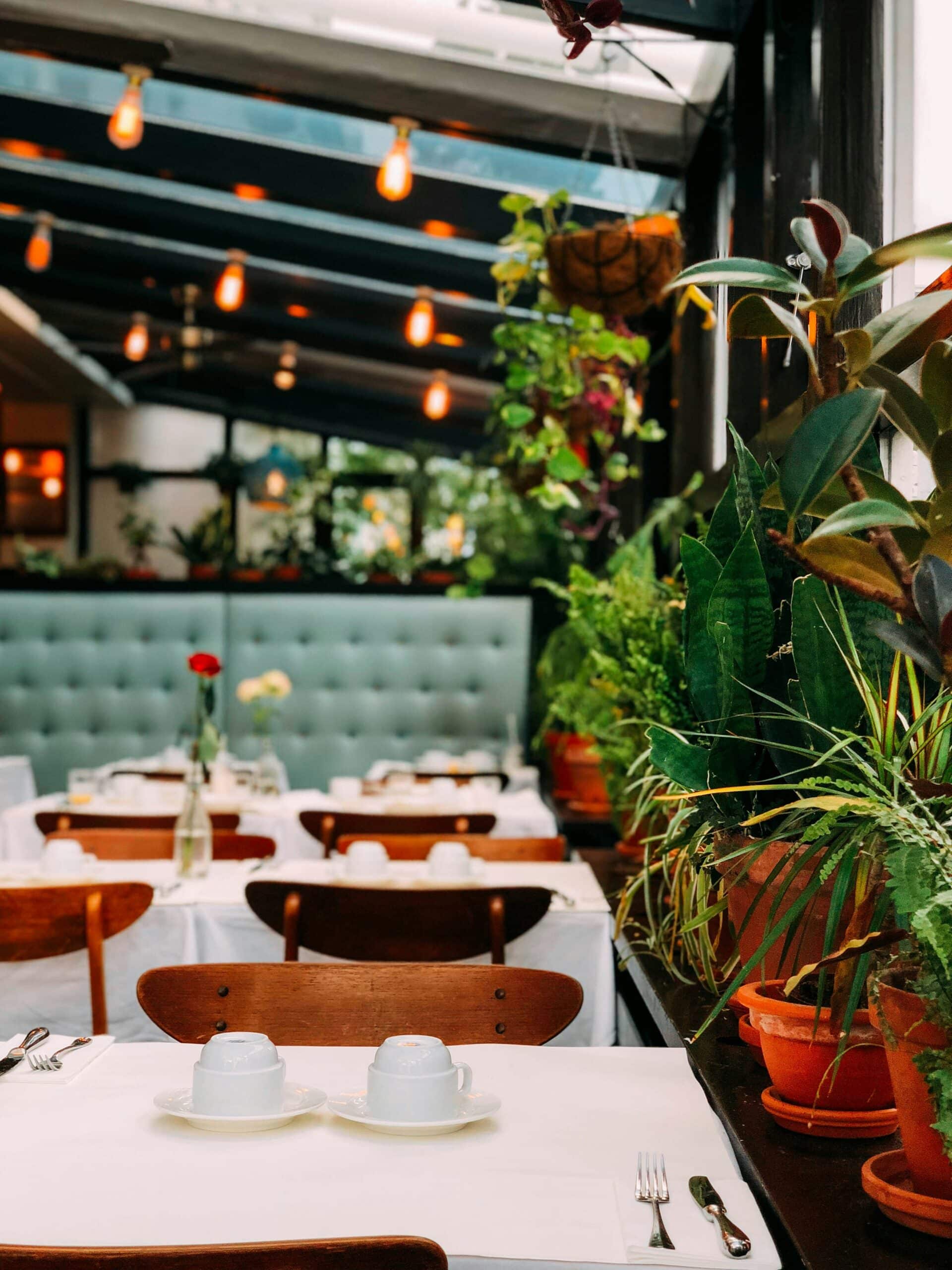 En koselig restaurant med grønne planter og myk belysning. Bordene er dekket med hvite duker og enkle dekorasjoner, og scenen har en avslappende, naturlig atmosfære.