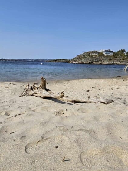 Sommeravslutning