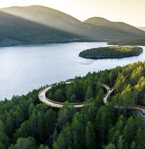 Tur til Tretoppvegen i Fyresdal og middag Straand hotell