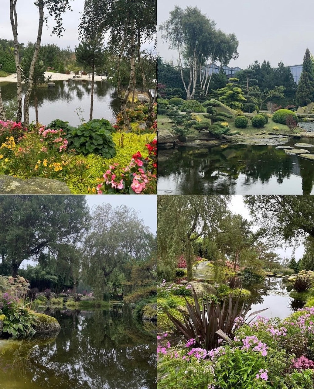 Bildecollage Flor og Fjære