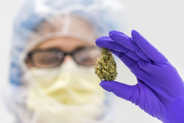 Temakveld: Medisinsk cannabis