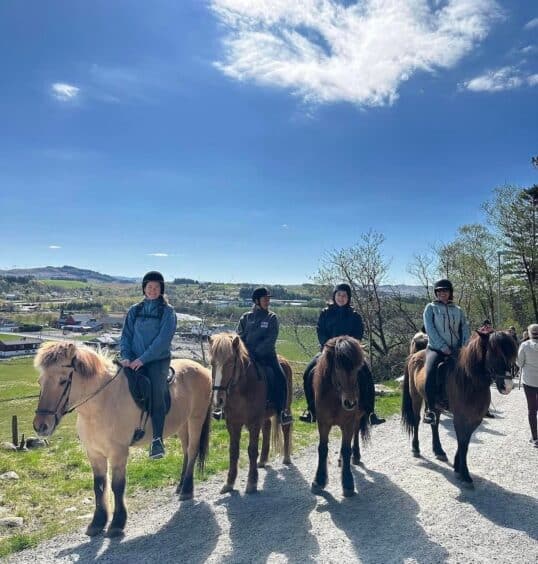 Guidet ridetur med Tryggvi Islandshestegård